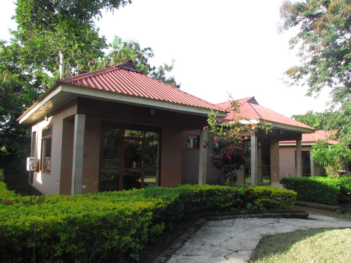 Mikumi Resort Hotel Zewnętrze zdjęcie